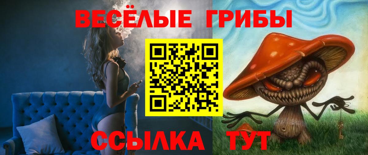 Псилоцибиновые грибы прущие грибы Волоколамск